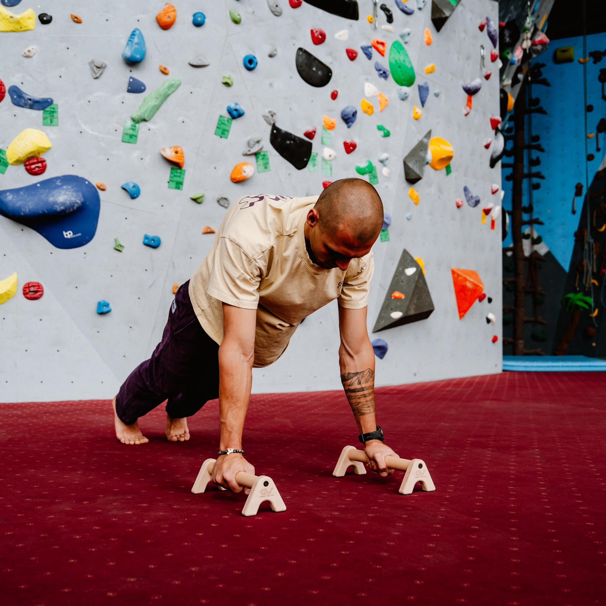 Hardwood Parallettes; Push-Up Handles, 3 Cm Beech Push-Up Bars for Calisthenics & L-Sits